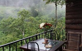 Green Lushy Home Stay