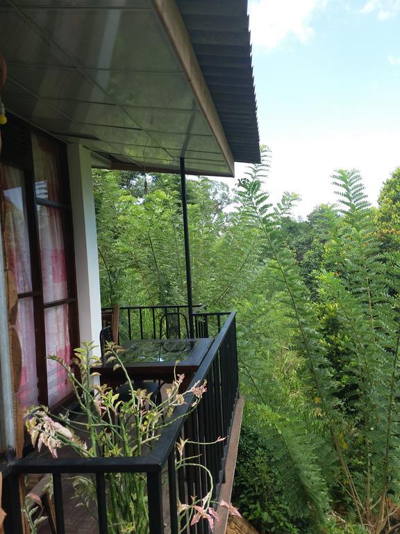 Green Lushy Home Stay Ella Exterior photo